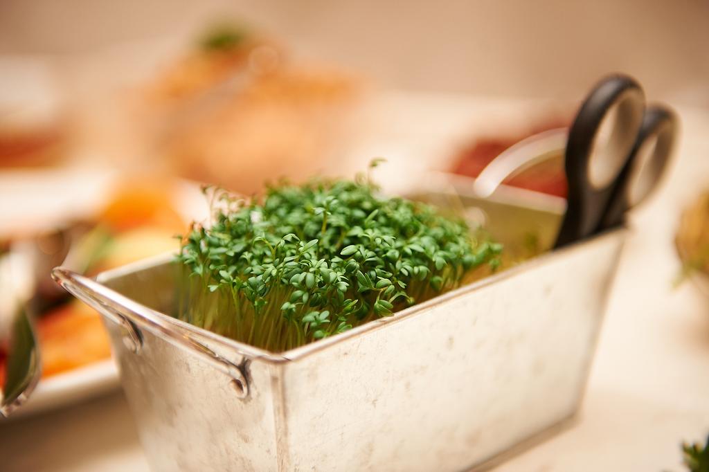 Vegan Hotel Und Restaurants Nicolay 1881 Zeltingen-Rachtig Exteriér fotografie